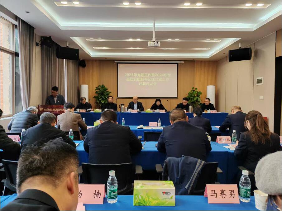 興湘資產召開2025年黨建工作暨2024年度基層黨組織書記抓黨建工作述職評議會
